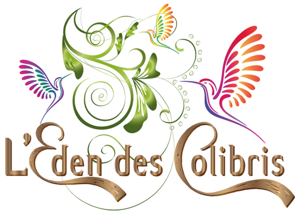 hebergement vacances basse terre guadeloupe